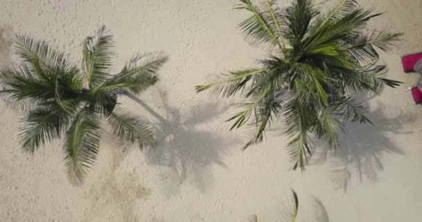 Vista aérea de la playa — Vídeos de Stock