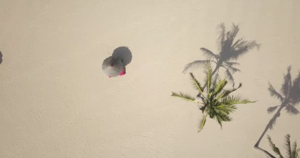 Vue aérienne de la plage — Video