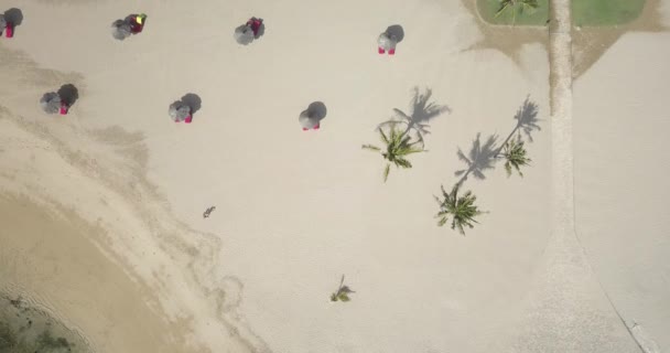 Вид с воздуха на пляж — стоковое видео