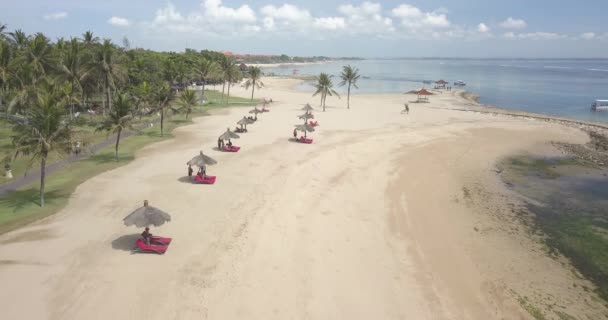 Aerial view of beach — Stock Video