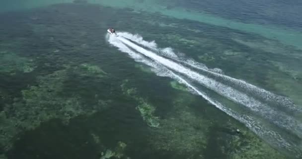 Veduta aerea del jet skier — Video Stock