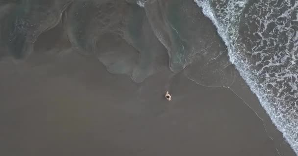 해변을 걷고 있는 여자를 공중에서 본 모습 — 비디오