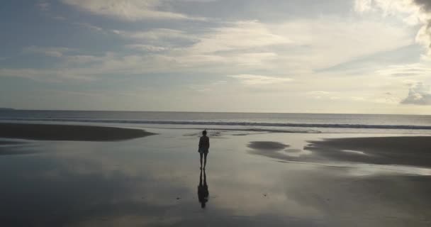 Vista aérea da mulher caminhando na praia — Vídeo de Stock