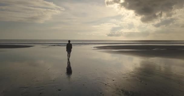 해변을 걷고 있는 여자를 공중에서 본 모습 — 비디오