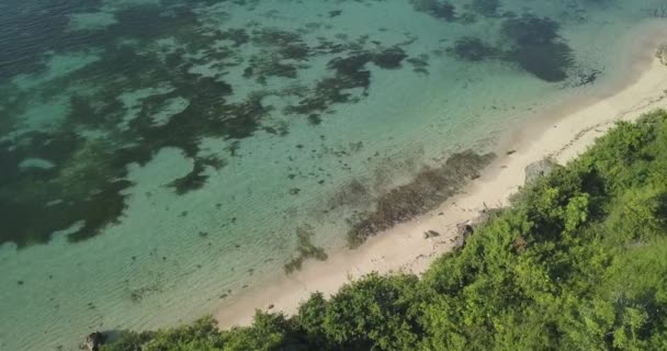 Vista aérea de la costa oceánica en un día soleado — Vídeos de Stock