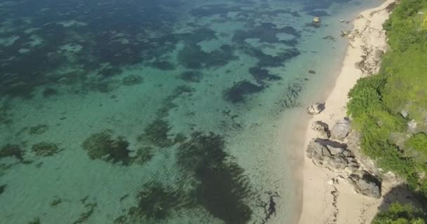 Güneşli bir günde okyanus kıyılarının havadan görünüşü — Stok video