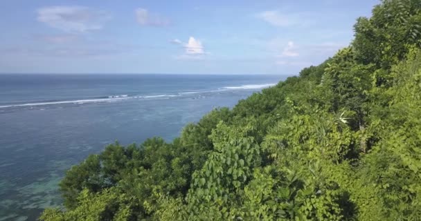 Pemandangan udara pantai laut pada hari yang cerah — Stok Video