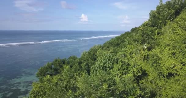 Luchtfoto van de oceaankust op zonnige dag — Stockvideo