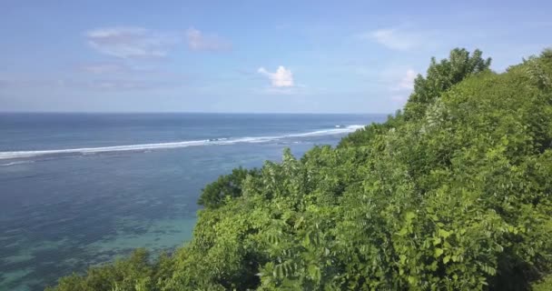 Vue aérienne du littoral océanique à une journée ensoleillée 