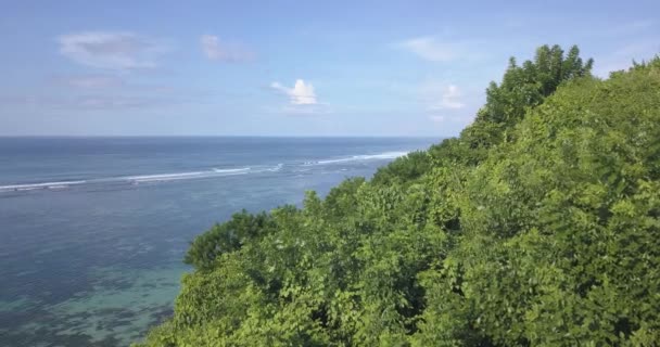 Pemandangan udara pantai laut pada hari yang cerah — Stok Video