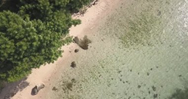 Güneşli bir günde tropikal plajın havadan görünüşü