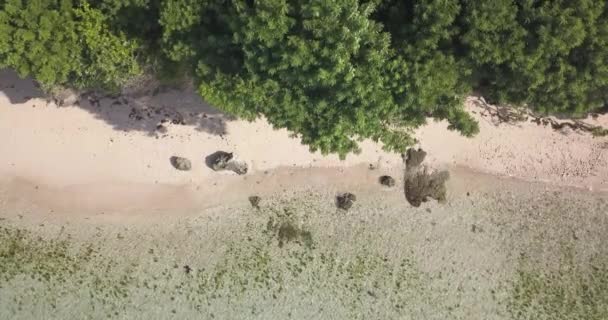 Güneşli bir günde tropikal plajın havadan görünüşü — Stok video