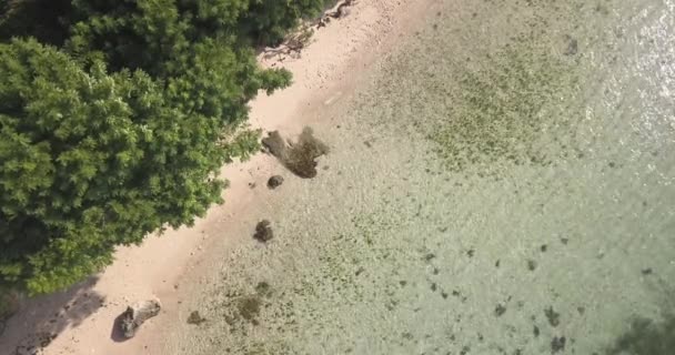 Вид с воздуха на тропический пляж в солнечный день — стоковое видео