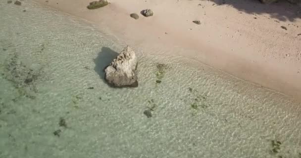 Luchtfoto van tropisch strand op zonnige dag — Stockvideo