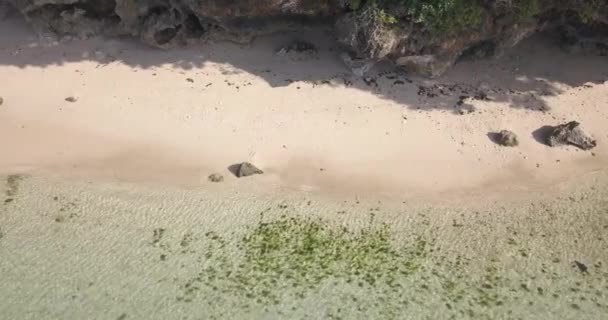 Luftaufnahme des tropischen Strandes bei sonnigem Tag — Stockvideo