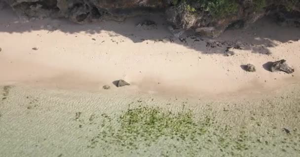 Luchtfoto van tropisch strand op zonnige dag — Stockvideo