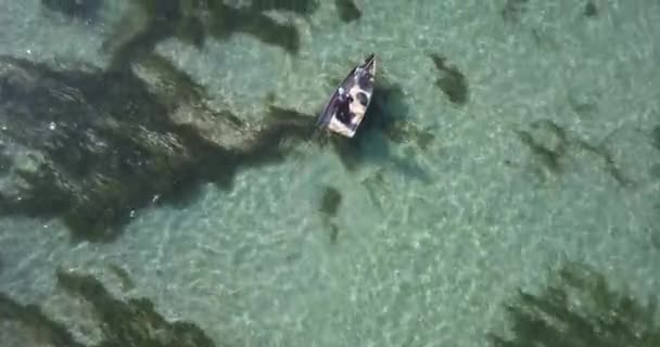 Flygfoto om fiskebåt i havet på solig dag — Stockvideo