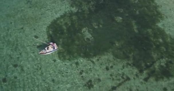 Flygfoto om fiskebåt i havet på solig dag — Stockvideo