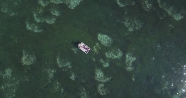 Vista aerea se barca da pesca in mare — Video Stock