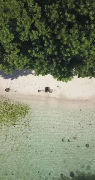 Vista aérea de la playa tropical en un día soleado — Vídeos de Stock