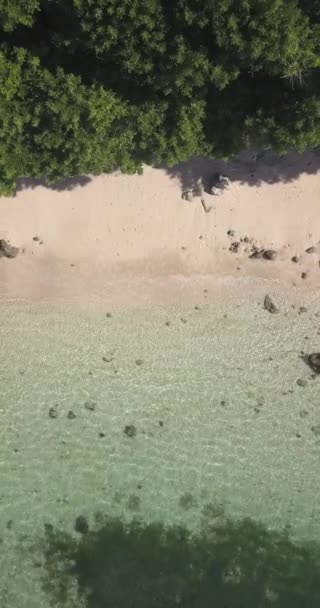 天气晴朗时热带海滩的空中景观 — 图库视频影像