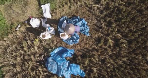 Верхний вид с воздуха на людей, работающих на рисовом поле — стоковое видео