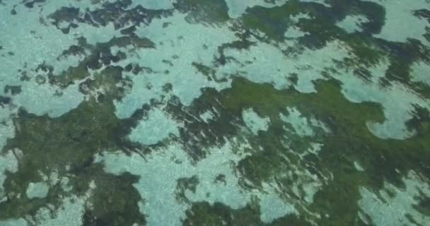 Luftaufnahme des tropischen Wassers an sonnigen Tagen — Stockvideo