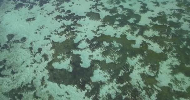 Vista aerea dell'acqua tropicale nella giornata di sole — Video Stock