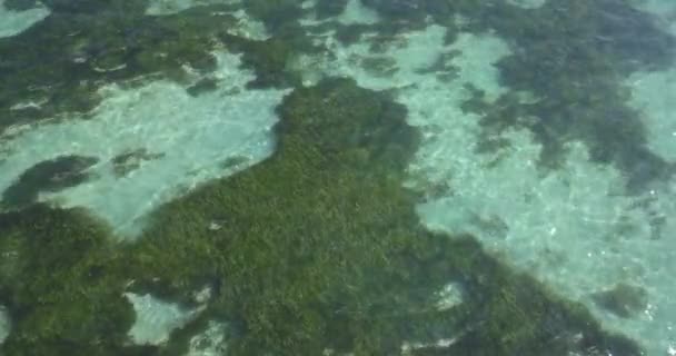 Вид с воздуха на тропическую воду в солнечный день — стоковое видео