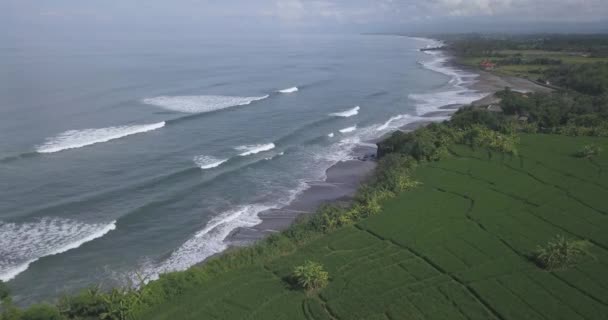 Vista aérea de campos de arroz e praia de Kedungu — Vídeo de Stock