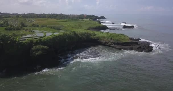 Vista aérea de los arrozales y la playa de Kedungu — Vídeo de stock