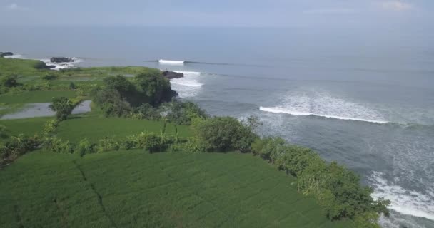 Vue aérienne des rizières et de la plage de Kedungu — Video