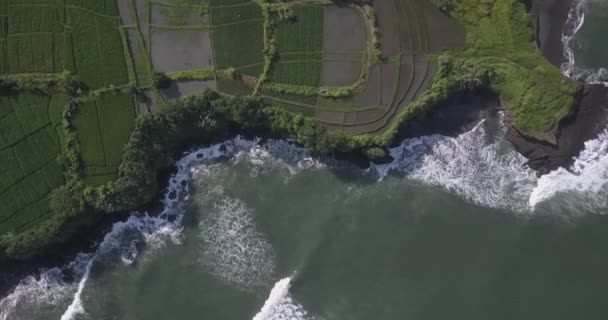 Vista aérea de campos de arroz e praia de Kedungu — Vídeo de Stock