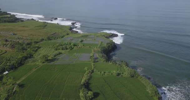 Vista aérea de los arrozales y la playa de Kedungu — Vídeos de Stock