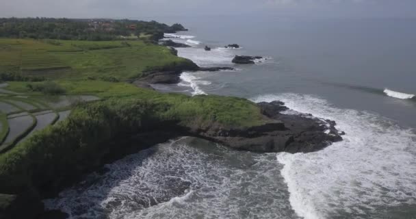 Widok z lotu ptaka na pola ryżowe i plaży Kedungu — Wideo stockowe