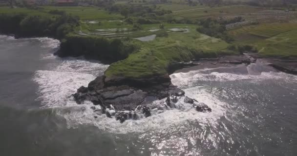 Aerial view of rice fields and Kedungu beach — Stock Video