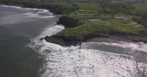 Widok z lotu ptaka na pola ryżowe i plaży Kedungu — Wideo stockowe