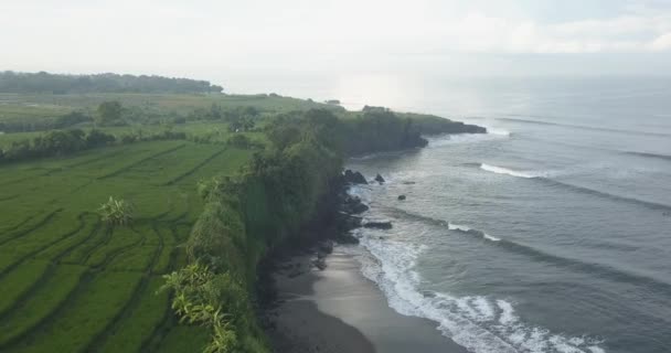 Letecký pohled na rýžová pole a pláž Kedungu — Stock video