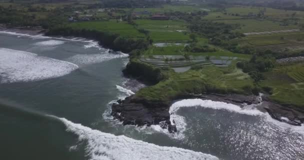 Vista aérea de campos de arroz e praia de Kedungu — Vídeo de Stock