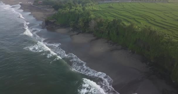 Letecký pohled na rýžová pole a pláž Kedungu — Stock video