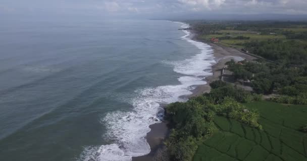 Aerial view of rice fields and Kedungu beach — Stock Video