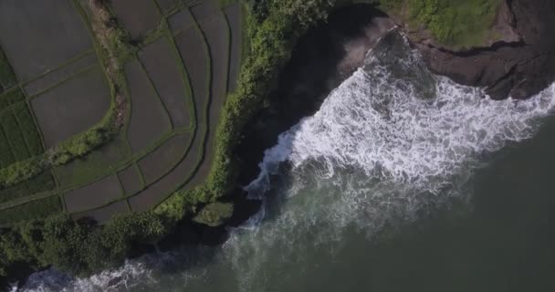 Vista aérea de los arrozales y la playa de Kedungu — Vídeos de Stock