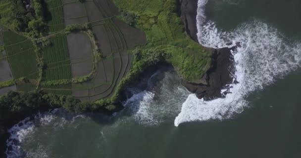 Vista aérea de los arrozales y la playa de Kedungu — Vídeos de Stock