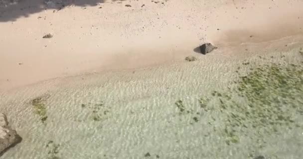 Luchtfoto van tropisch strand op zonnige dag — Stockvideo