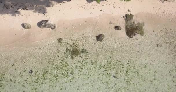 Luchtfoto van tropisch strand op zonnige dag — Stockvideo