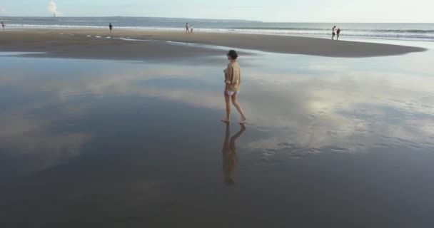 Luftaufnahme einer Frau, die am Strand spaziert — Stockvideo