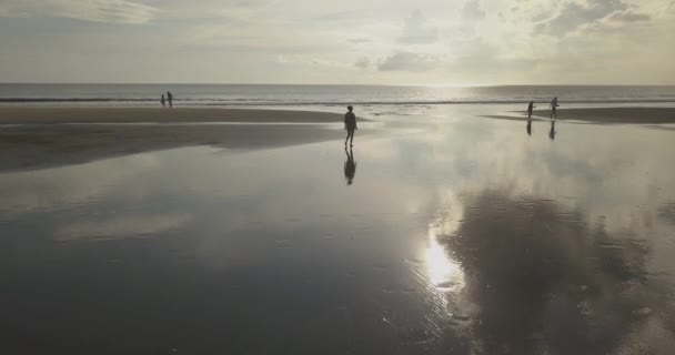 Vista aérea da mulher caminhando na praia — Vídeo de Stock