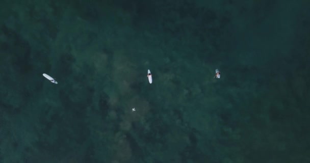 Вид с воздуха на серферов на пляже Кута — стоковое видео