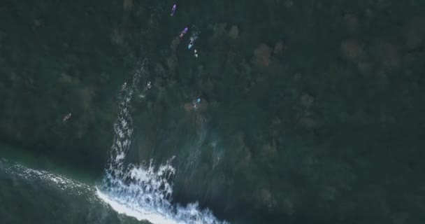 Aerial view of surfers at Kuta beach — Stock Video