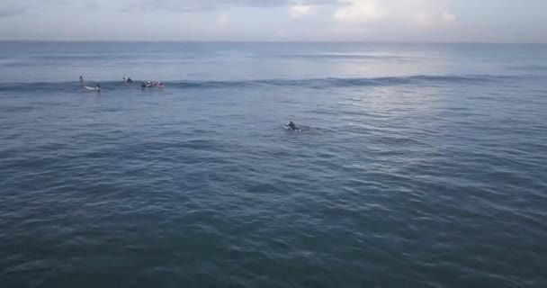 Vista aérea dos surfistas na praia de Kuta — Vídeo de Stock